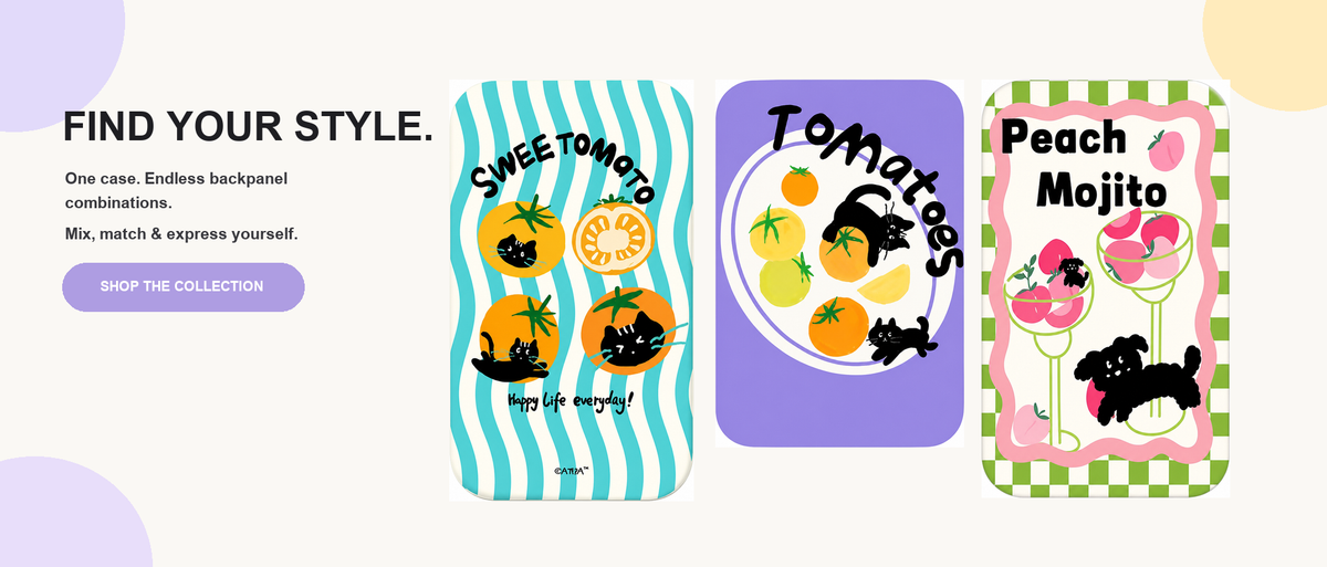 SkyCase magnetic backboards with fruit designs for iPhone